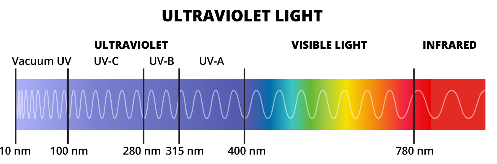 Ultraviolet spectrum chart: vacuum UV 10-100 nm, UVC 100-280 nm, UVB 280-315 nm, UVA 315-400 nm, visible light 400-780 nm